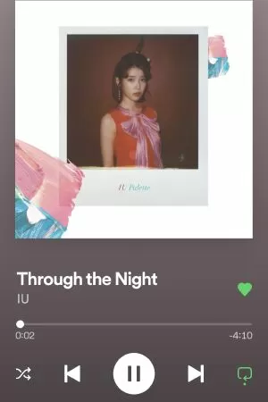 THROUGH THE NIGHT X IU