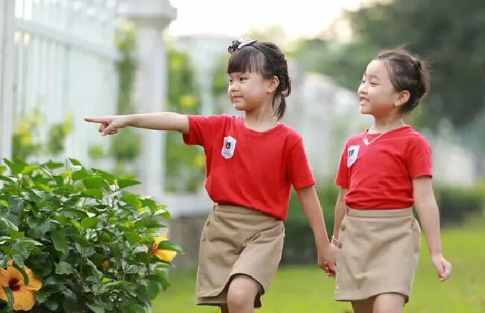 Mầm Non Việt Anh
