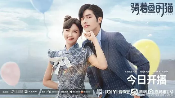 Mèo Cưỡi Cá