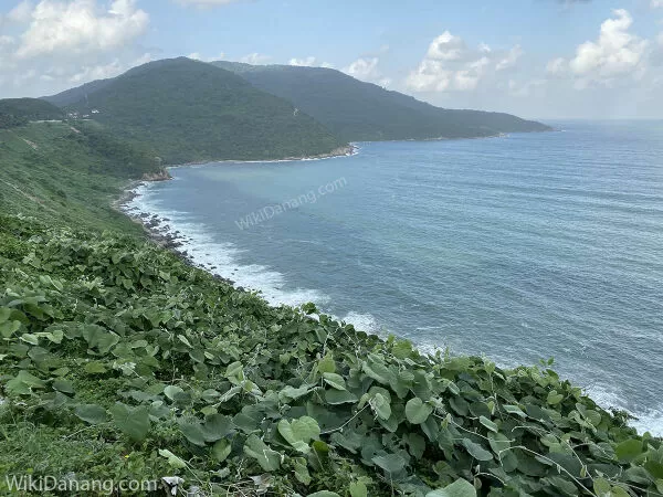 Bán Đảo Sơn Trà