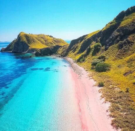 Bãi biển Hồng, Komodo - Indonesia