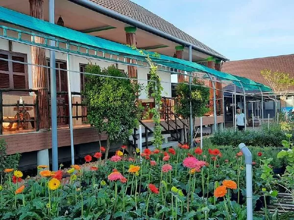 Ngôi nhà Hoa Ếch - Homestay Flower & Frog