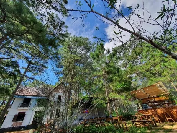 Chino Homestay Măng Đen