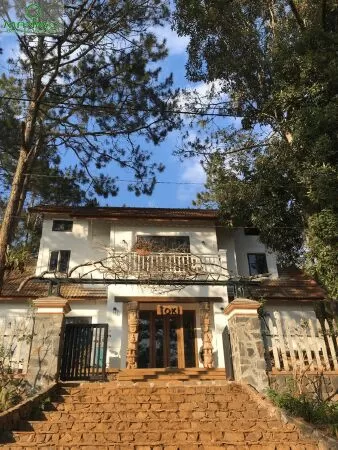 Toki Homestay