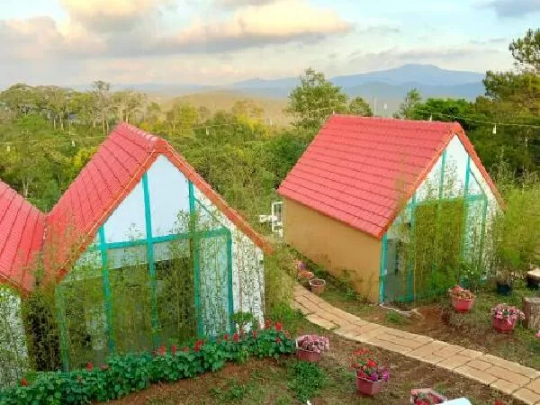 Thông Reo Homestay