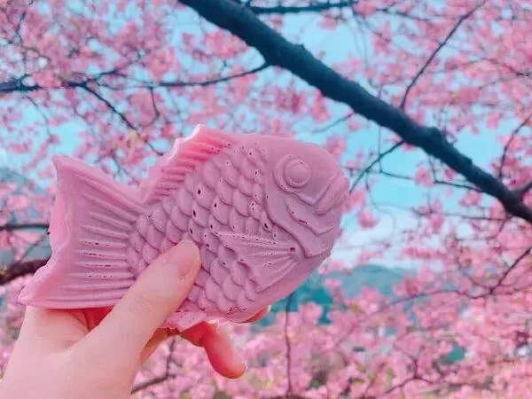 Bánh cá Sakura taiyaki