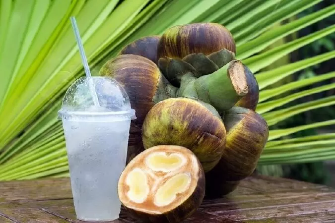 Thốt Nốt