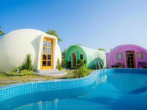 Tuan Chau Black Swan Homestay