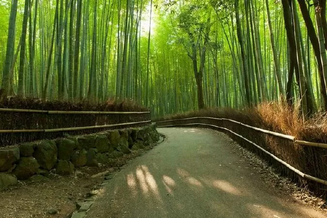 Top 10 khu du lịch ấn tượng nhất tại Kyoto Nhật Bản - Điểm đến hấp dẫn cho chuyến du lịch.