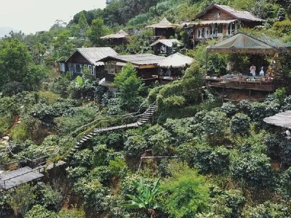Cú Trên Cây Homestay