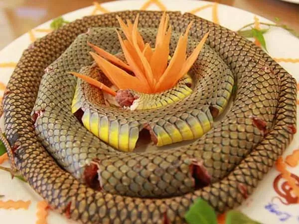 Nhà hàng Đệ nhất rắn Vĩnh Sơn