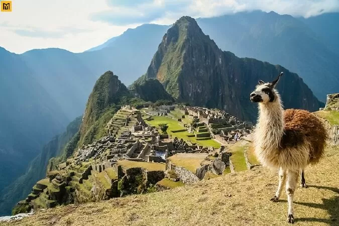 Thành phố Machu Picchu. Peru