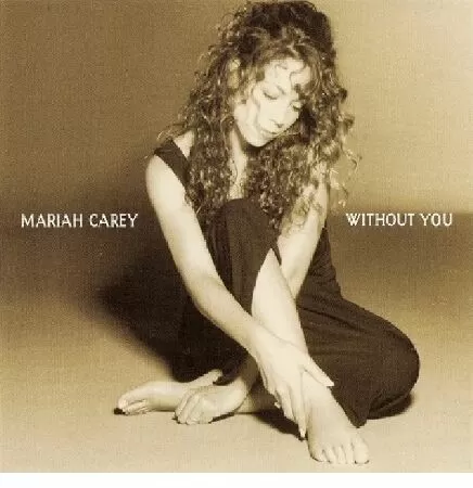 Without You