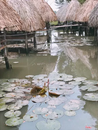 Ẩm thực sinh thái Tây Gà (Gà Đất Sét)