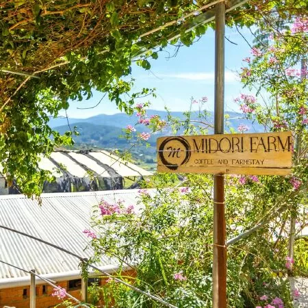 Midori Coffee Farmstay