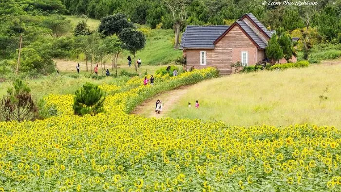 Đà Lạt Milk Farm