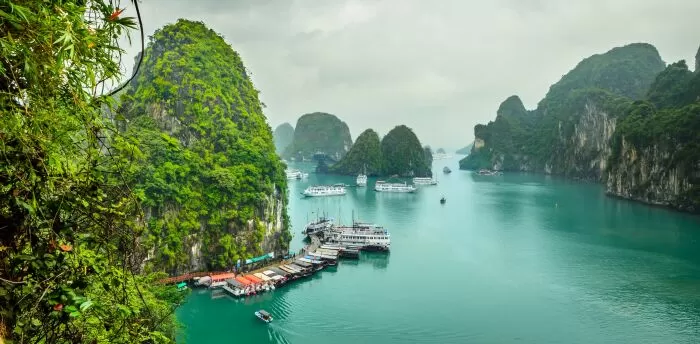 Đảo Cát Bà