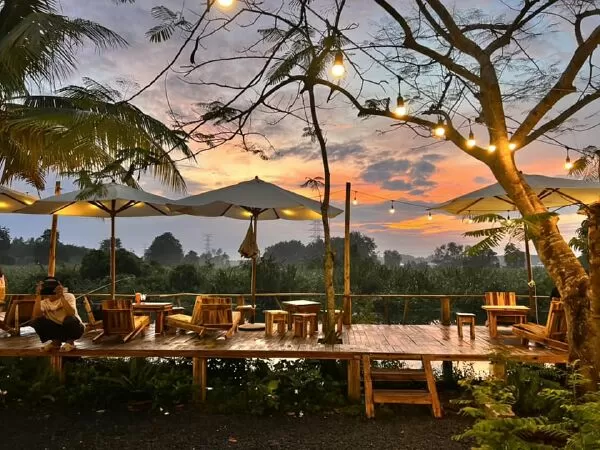 Binifarm Tropical Retreat