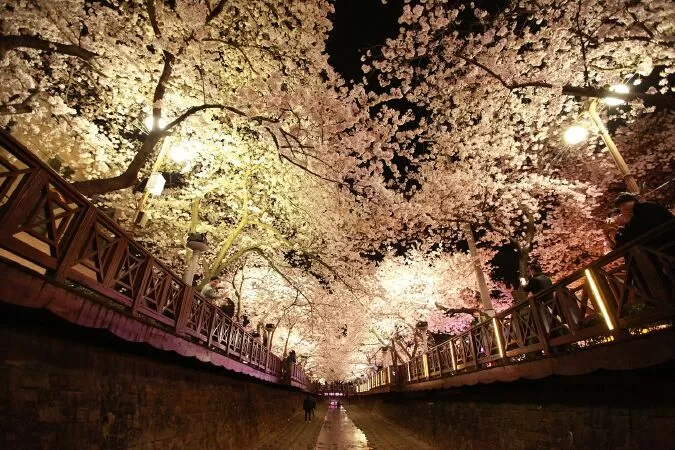 Jinhae