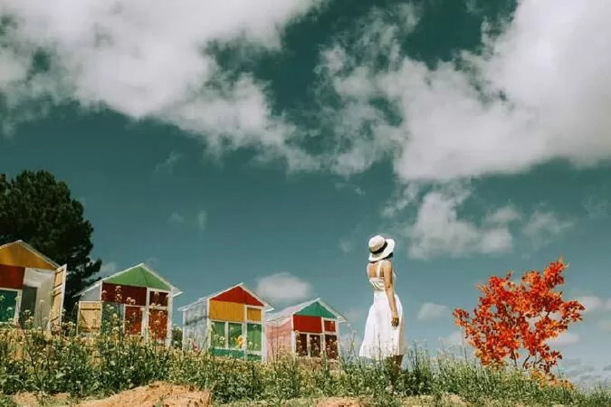 Sunny Farm
