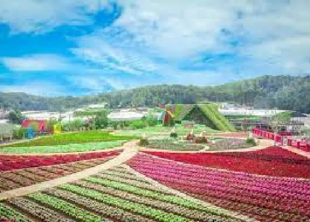 Vườn hoa Đà Lạt Vạn Thành