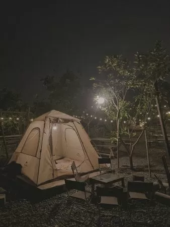 Dream Garden