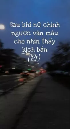 Sau khi nữ chính ngược văn máu chó nhìn thấy kịch bản