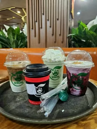Sencha Tea