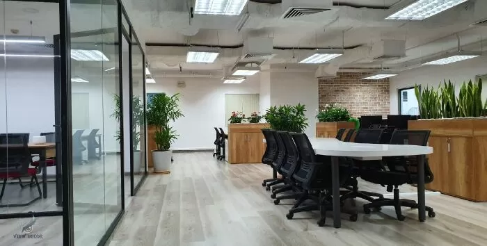 View Decor