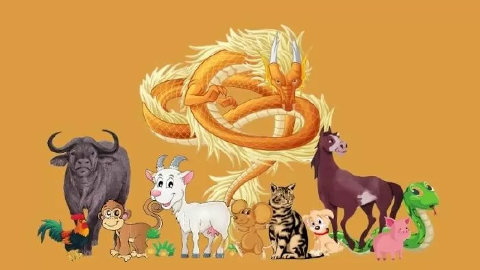 Tuổi Mão