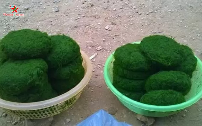 Rêu suối, Tây Bắc