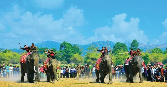 Bài số 1 - Thuyết minh về lễ hội đua voi ở Tây Nguyên