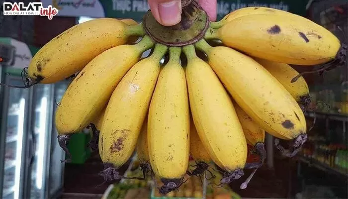 Chuối ngự chợ Rồng