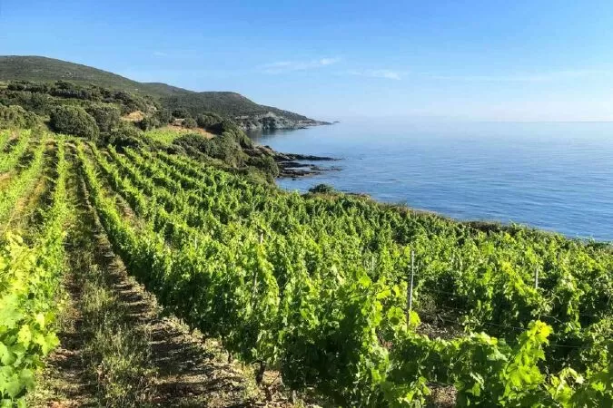 Corsica