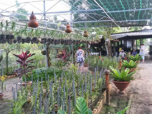 Homestay Phước Nguyên