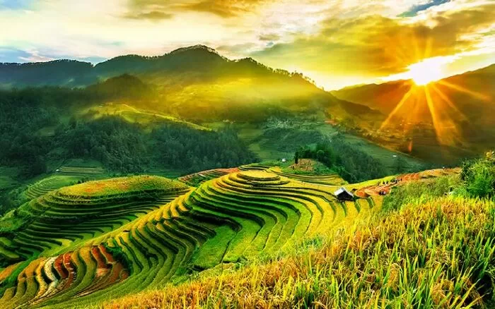 Mù Cang Chải, Việt Nam.