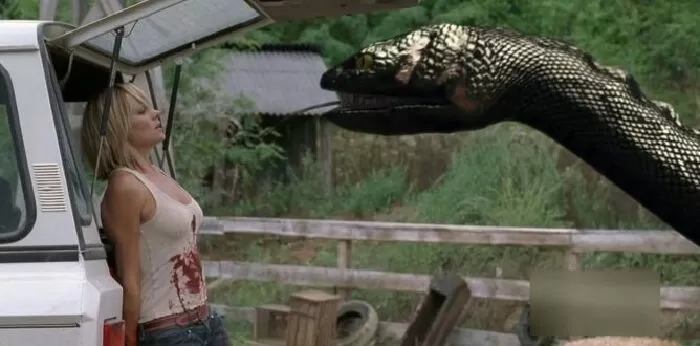 Anaconda