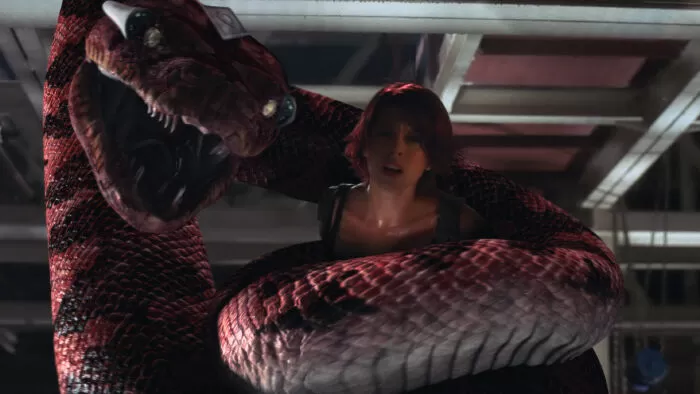 Boa vs. Python