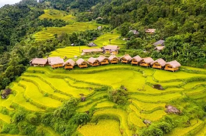 Giá trị của bản sắc dân tộc