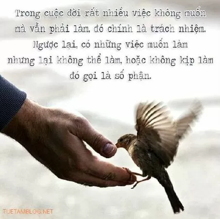Tinh thần trách nhiệm