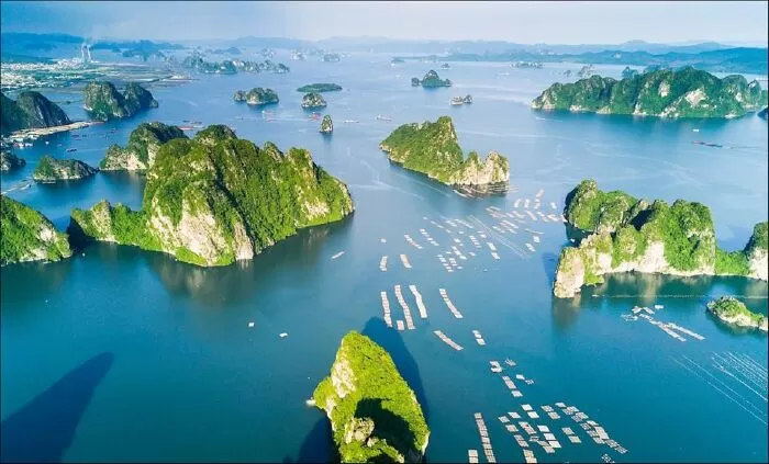 Top 10 bài văn mẫu hay nhất tả cảnh đẹp quê hương chi tiết và đặc sắc nhất