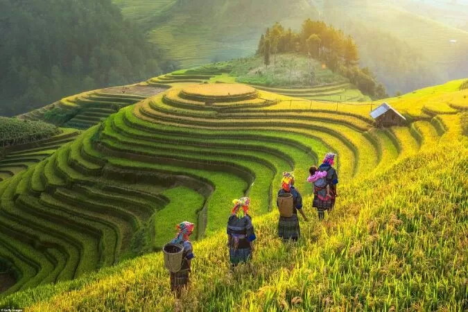 Bài văn mẫu tả cảnh đẹp quê hương - Mẫu số 2