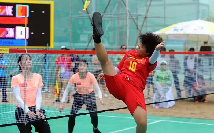 Đoạn văn tả trận đá cầu - mẫu 1
