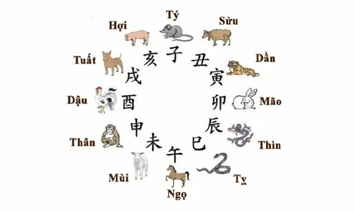 Tuổi Tị