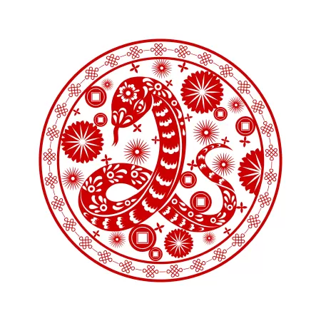 Tuổi Tỵ