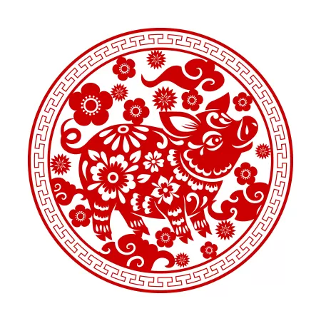 Tuổi Hợi