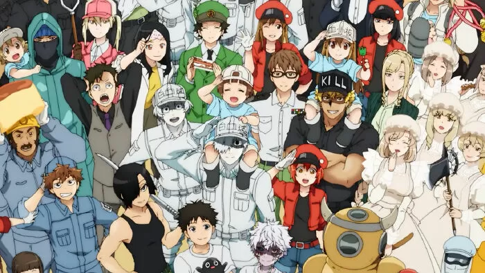 Cells at Work!
