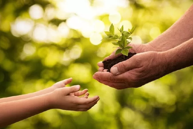 Bài văn kể về một việc tốt em đã làm - Mẫu số 5