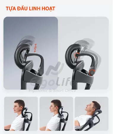 Cửa hàng ErgoLife