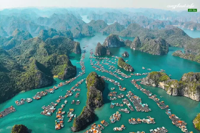 Đảo Cát Bà